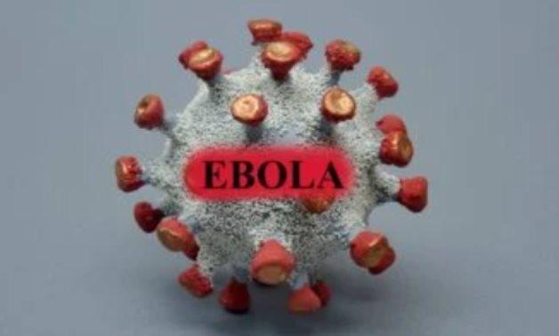 Kenyan Court Temporarily Suspends Trump Administration Plan for U.S. Ebola Quarantine Facility