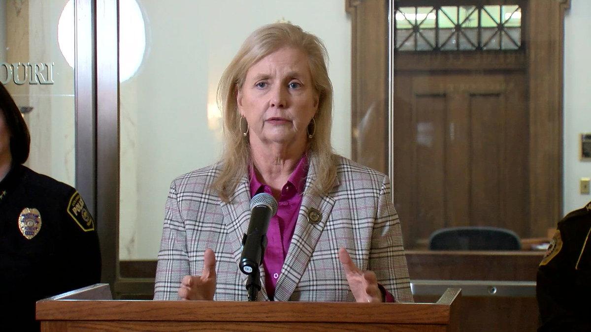 Federal Judge Stephen Clark Blocks Missouri From Using Old House Map for November Election