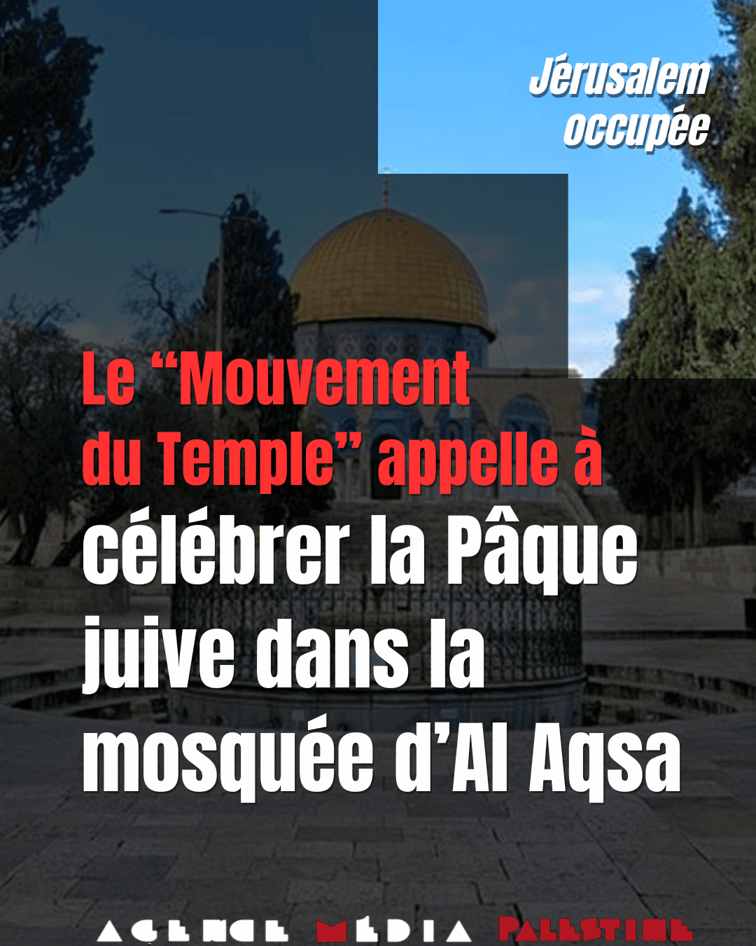 Image from Agence Media Palestine