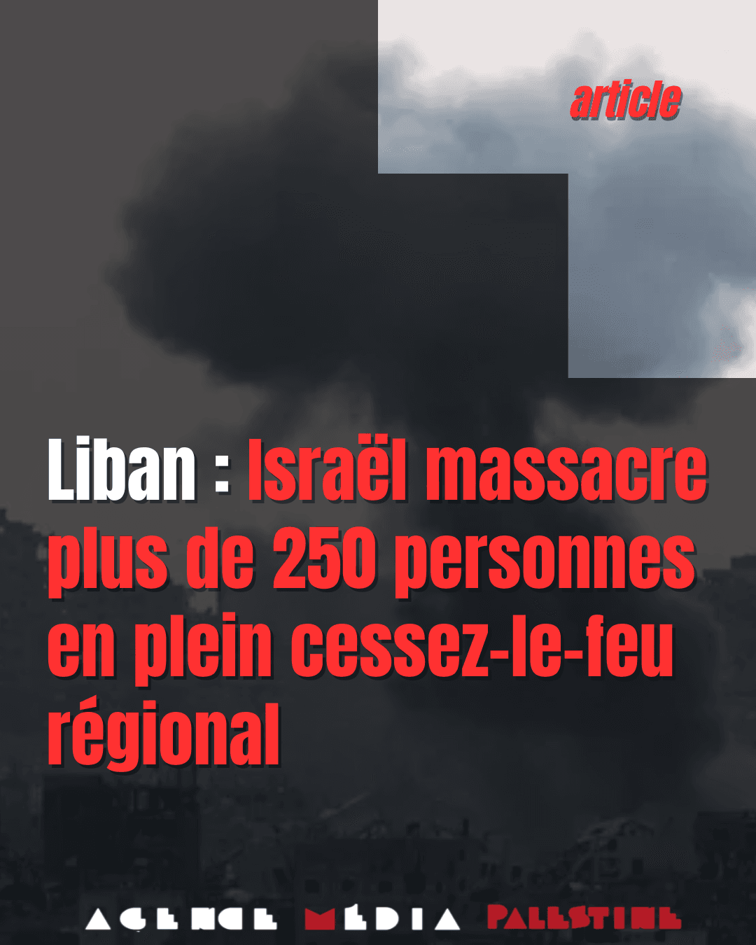 Image from Agence Media Palestine