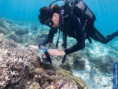Marine Heatwave Spreads Across Pacific, Driving Weather Chaos From Philippines to Peru