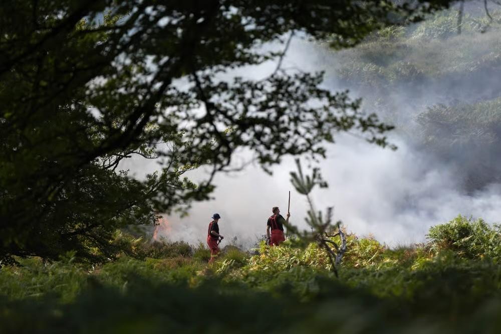 More Than 120 Firefighters Battle New Forest Blaze After A31 Van Fire Near Ringwood