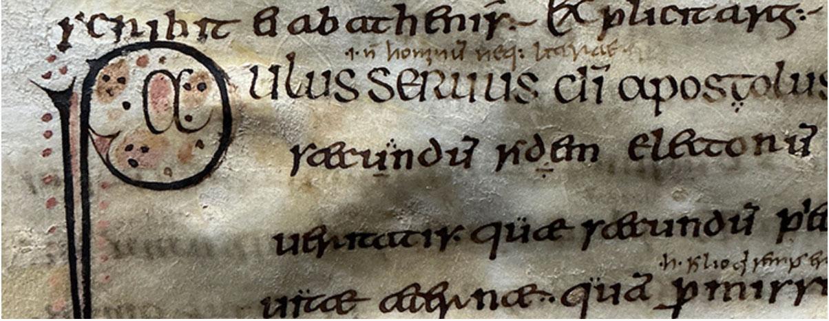 Image from Archaeology Magazine