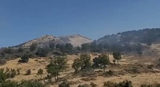 Hezbollah Condemns Israeli Forces For Burning Wooded Areas Across South Lebanon
