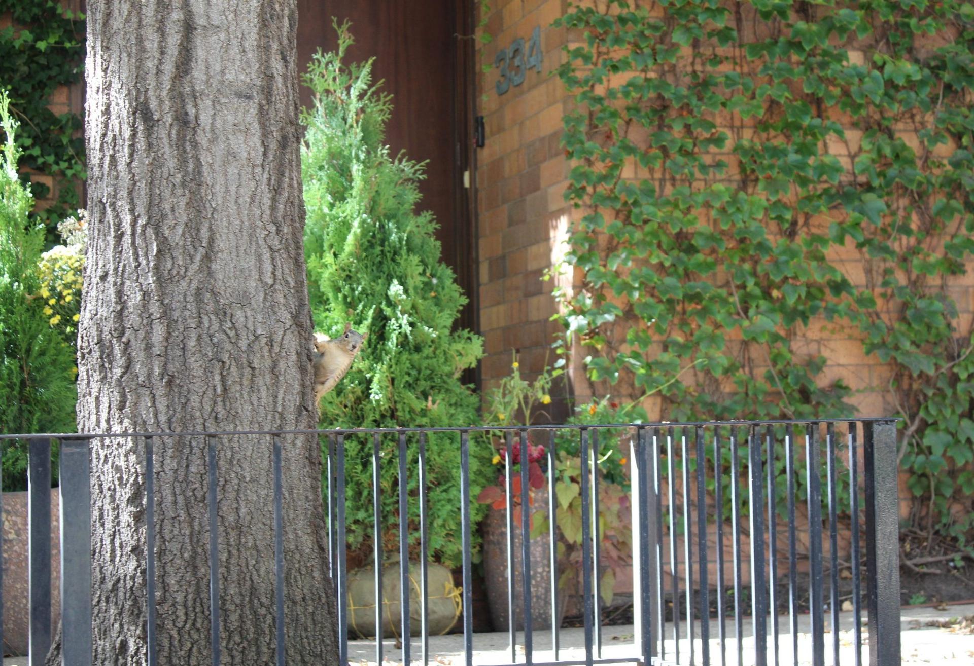 Image from Block Club Chicago