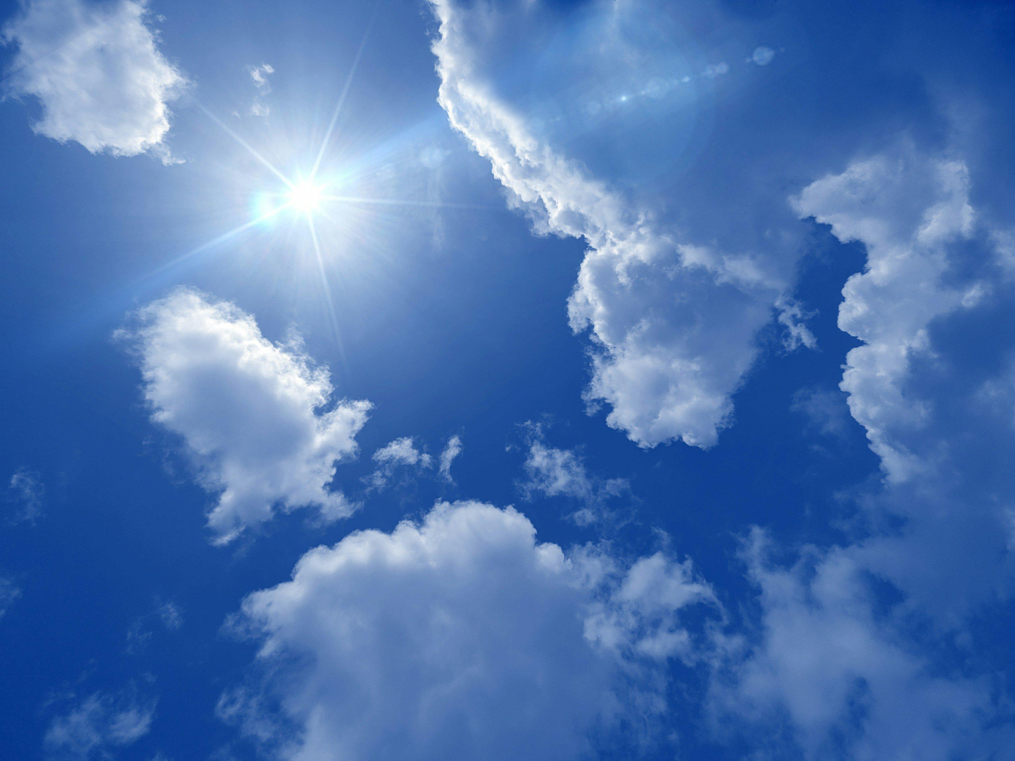 Image from Carbon Herald