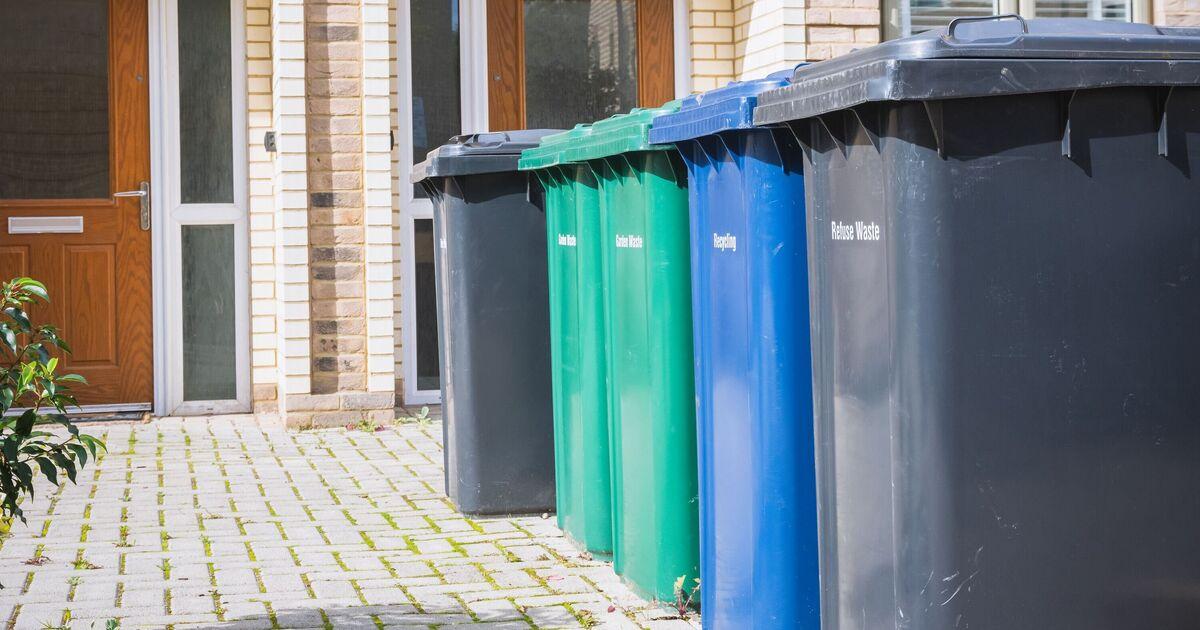 Image from Daily Express