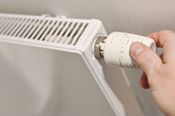 Image from belganewsagency.eu