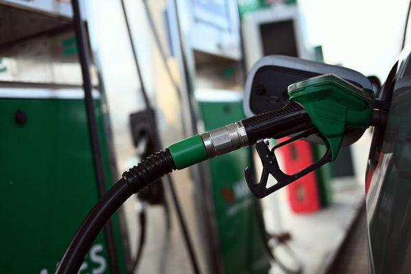 Image from belganewsagency.eu