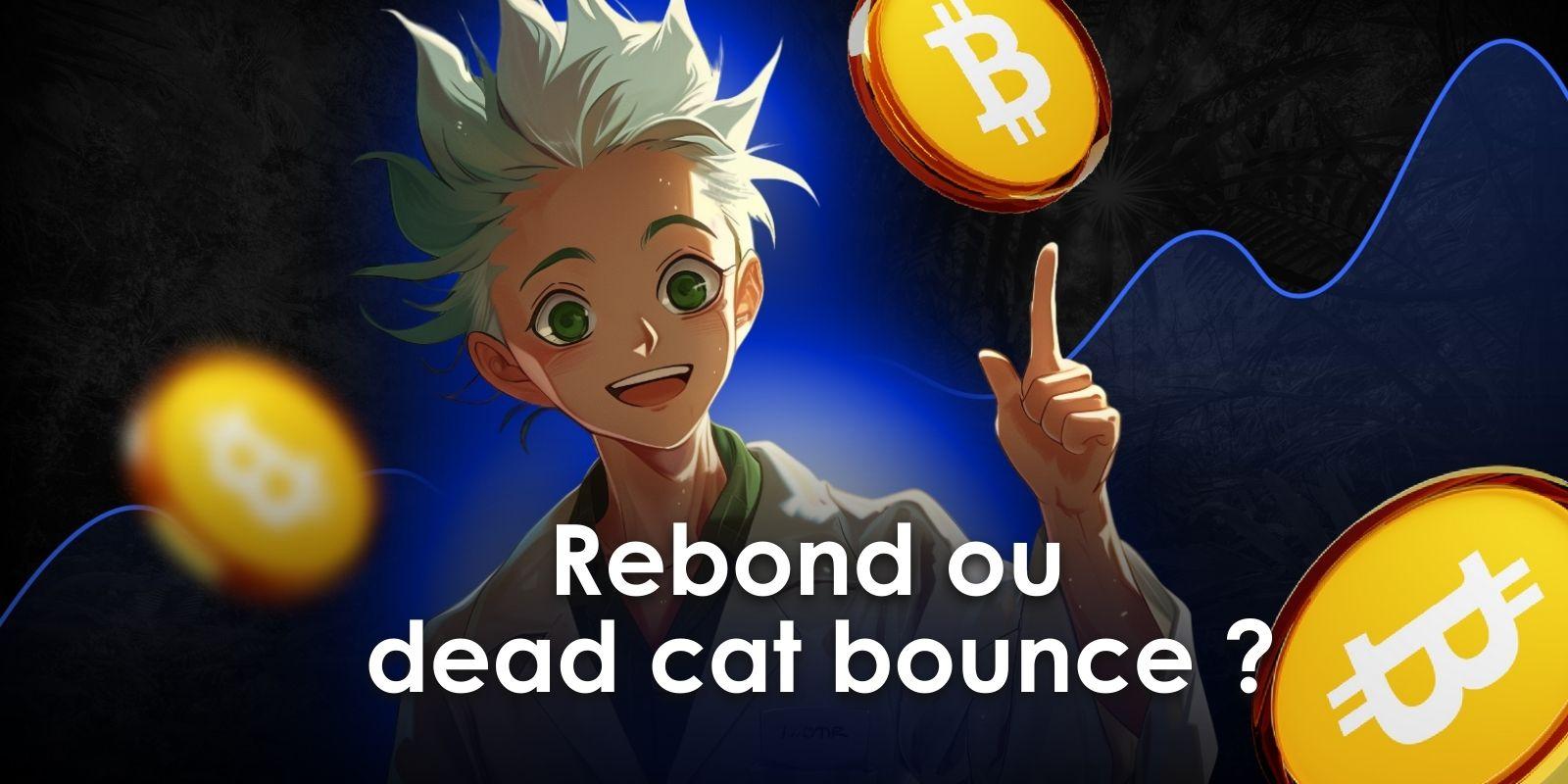 Image from Cryptoast