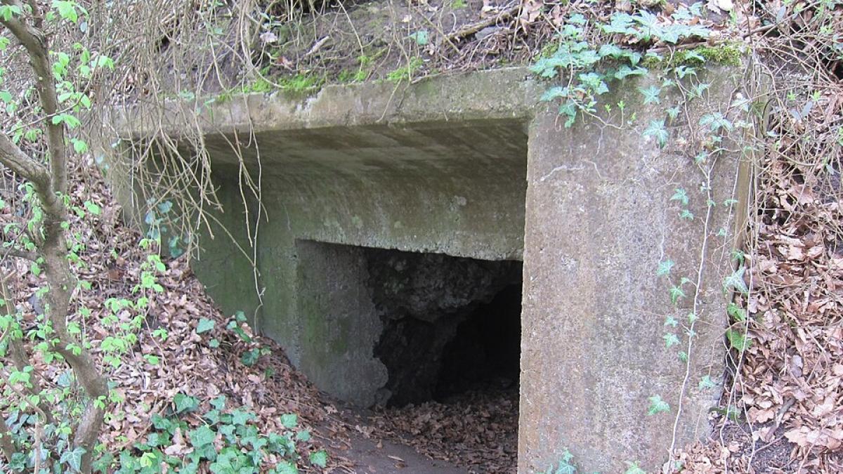 Image from Corriere della Sera