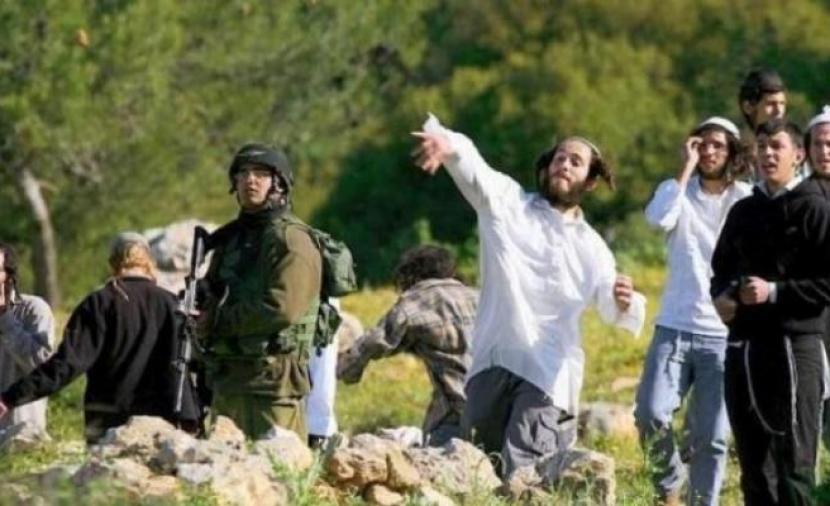 Colonists Set Fire to Vehicle and Attack Palestinian Homes South of Nablus