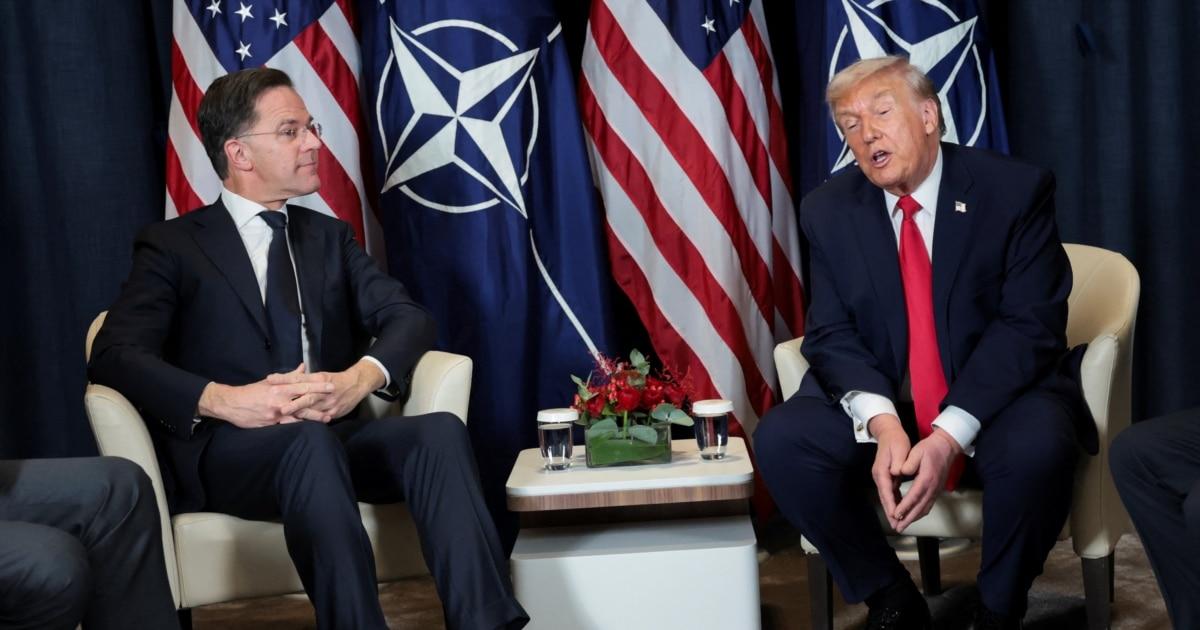 Trump Declares NATO a 'Paper Tiger' After Allies Refuse Iran War Support