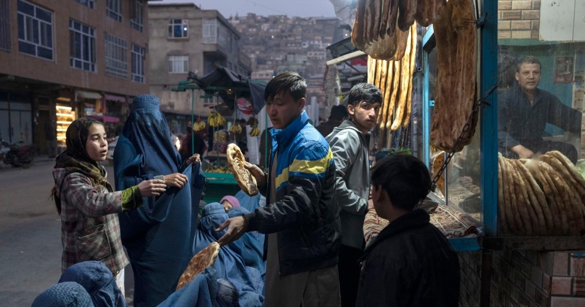 UN OCHA Warns 19.2 Million Afghans Face Acute Hunger This Winter Amid Funding Shortages