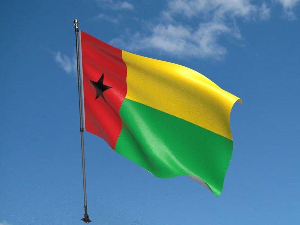 Guinea-Bissau Military Stages Coup, Installs Gen. Horta N'Tam as Head of Transitional Government