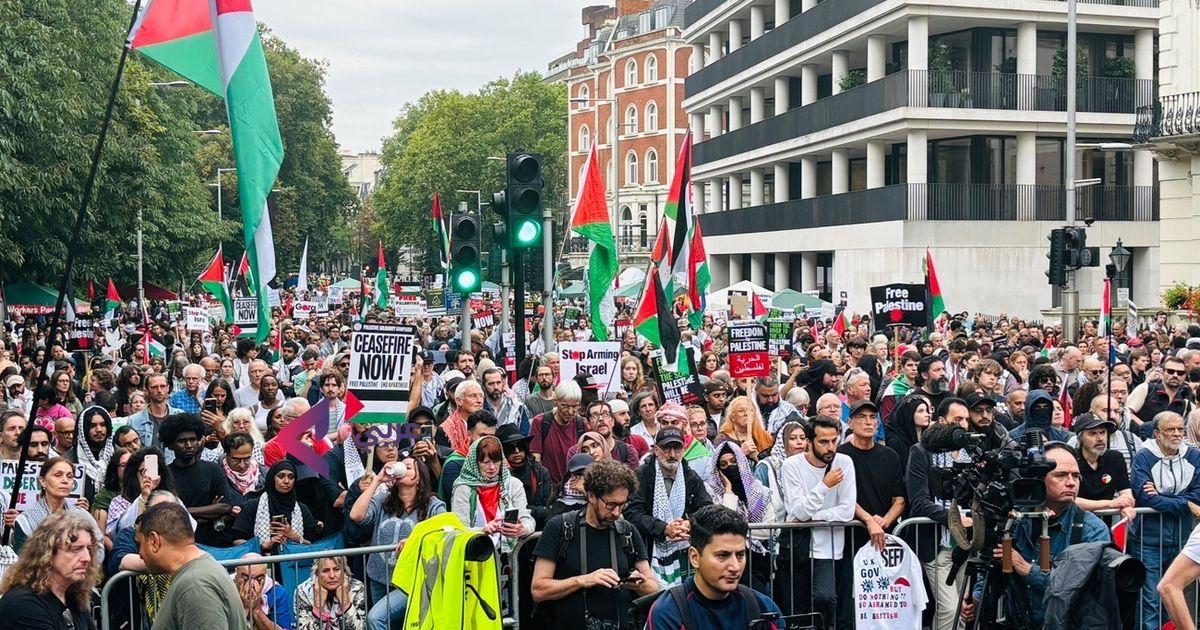 UK Police Arrest Over 523 Protesters Supporting Palestine Action Despite Court Ruling