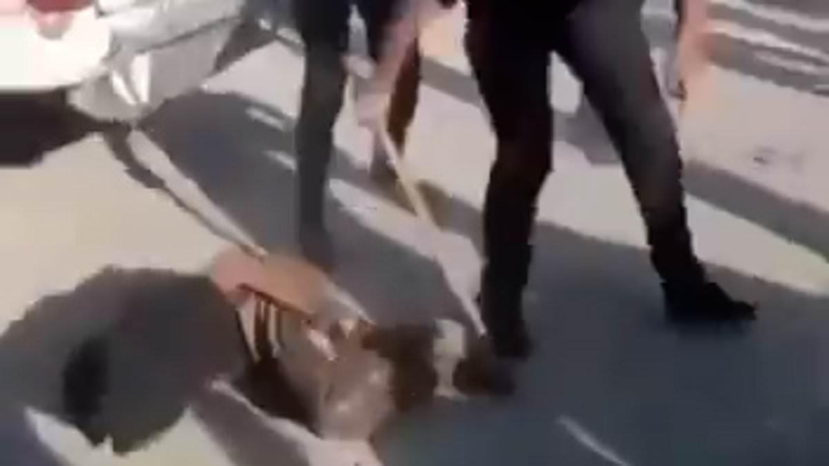 Hamas Kneecaps and Breaks Legs of Palestinians to Enforce Brutal Control in Gaza