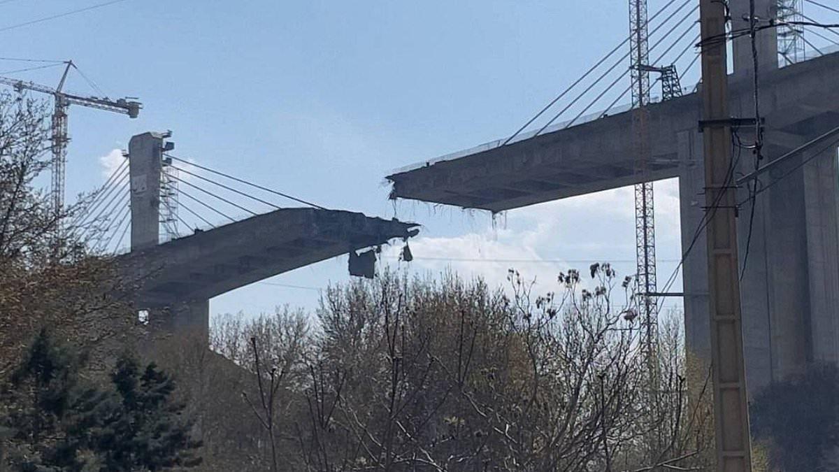 Image from Daily Mail