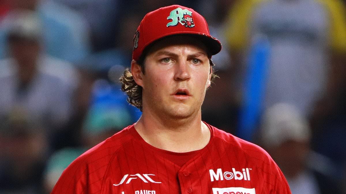 Image from Daily Mail