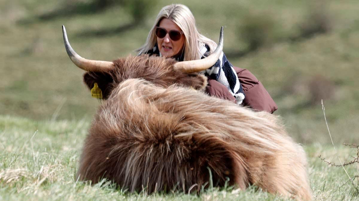 Image from Daily Mail