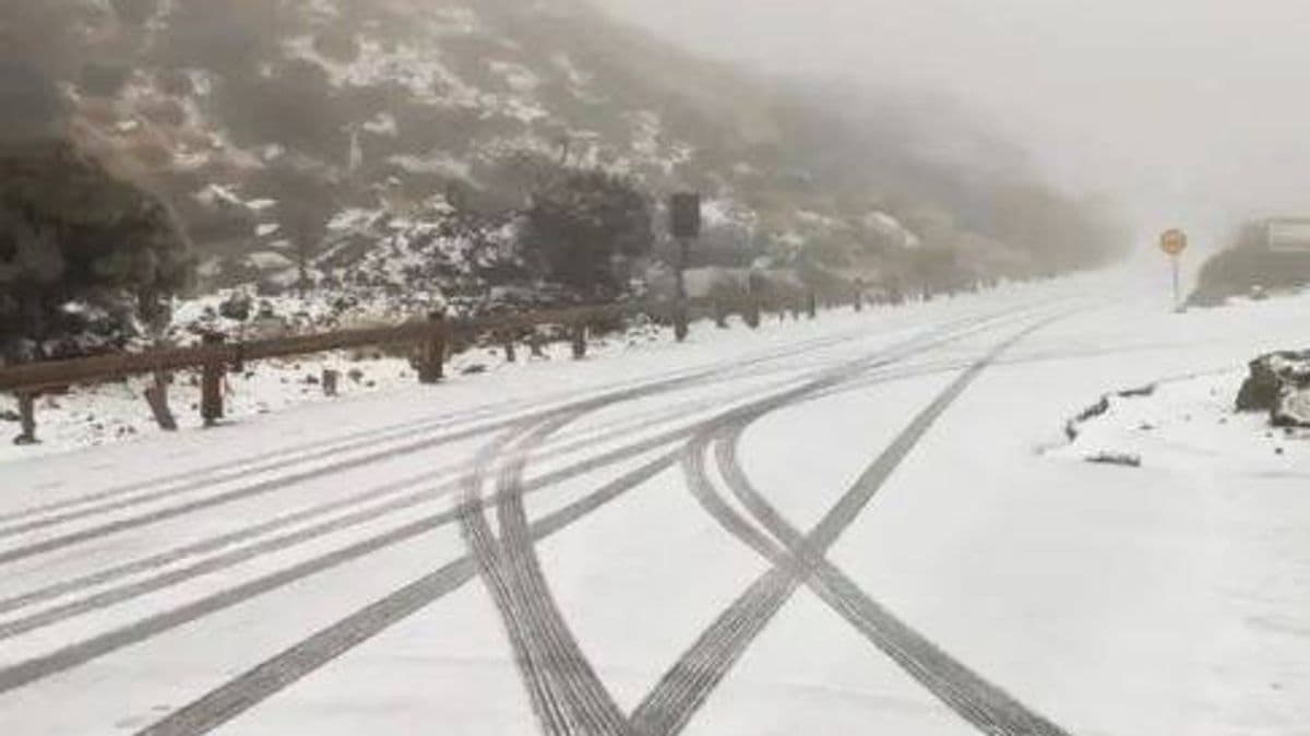 Image from Daily Record