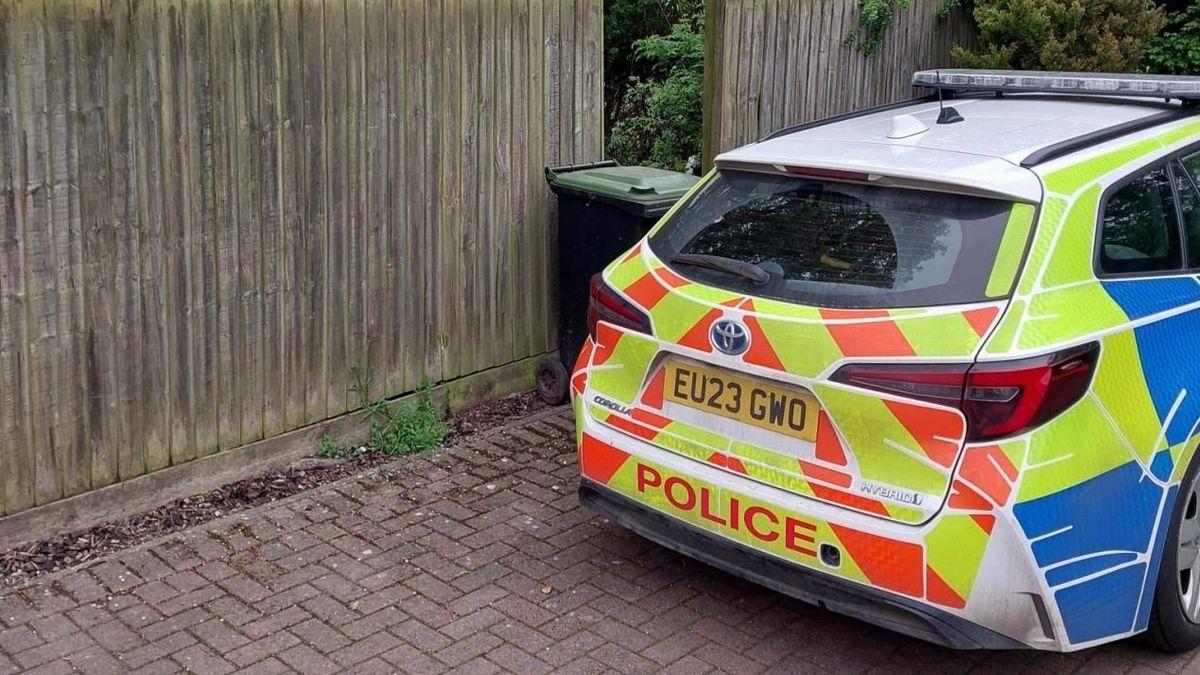 Image from Essex Live