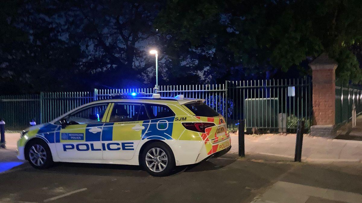 Image from The Mirror