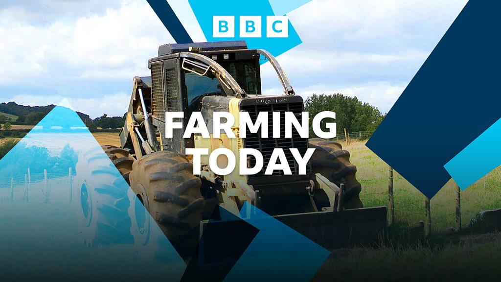 Image from BBC