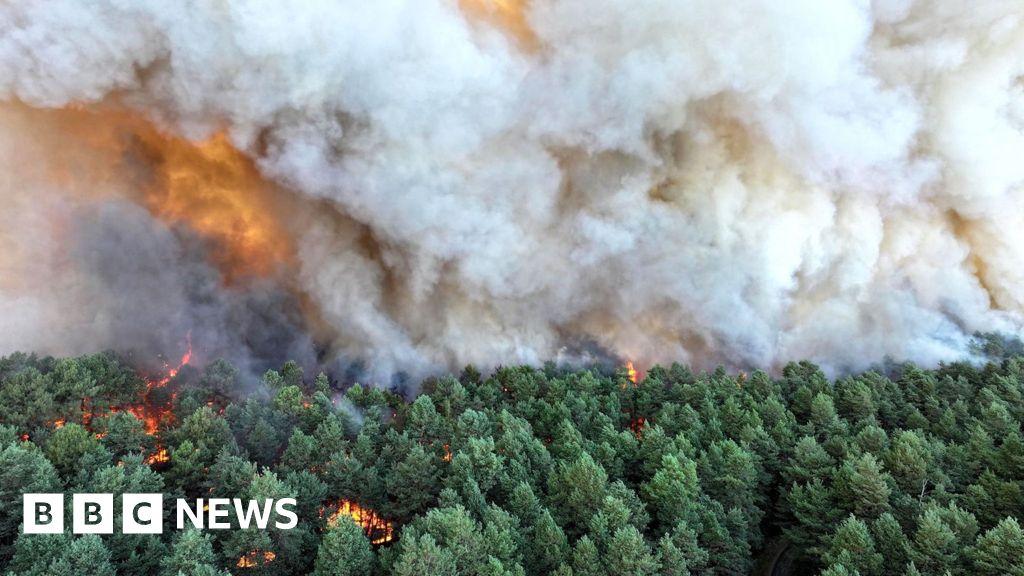Image from BBC