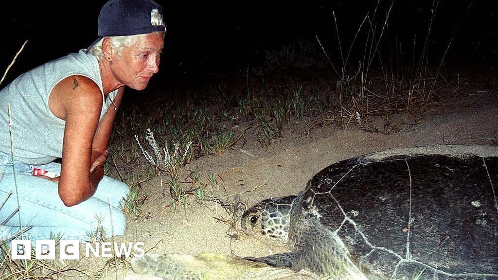 Israeli Strike Kills Lebanese Marine Ecologist Mona Khalil Near Tyre