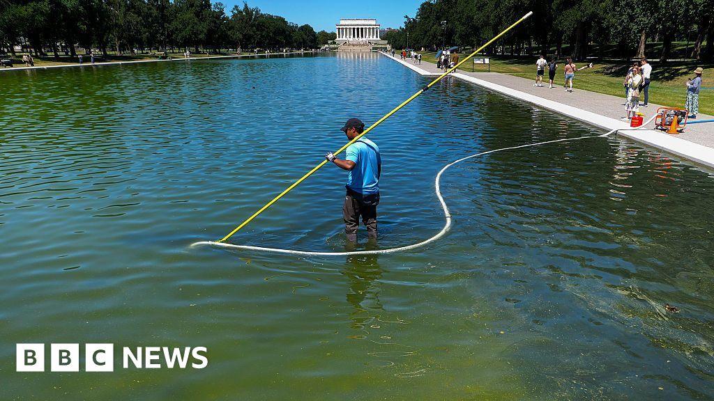 Image from BBC