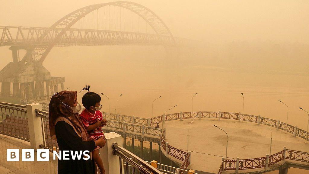 Image from BBC