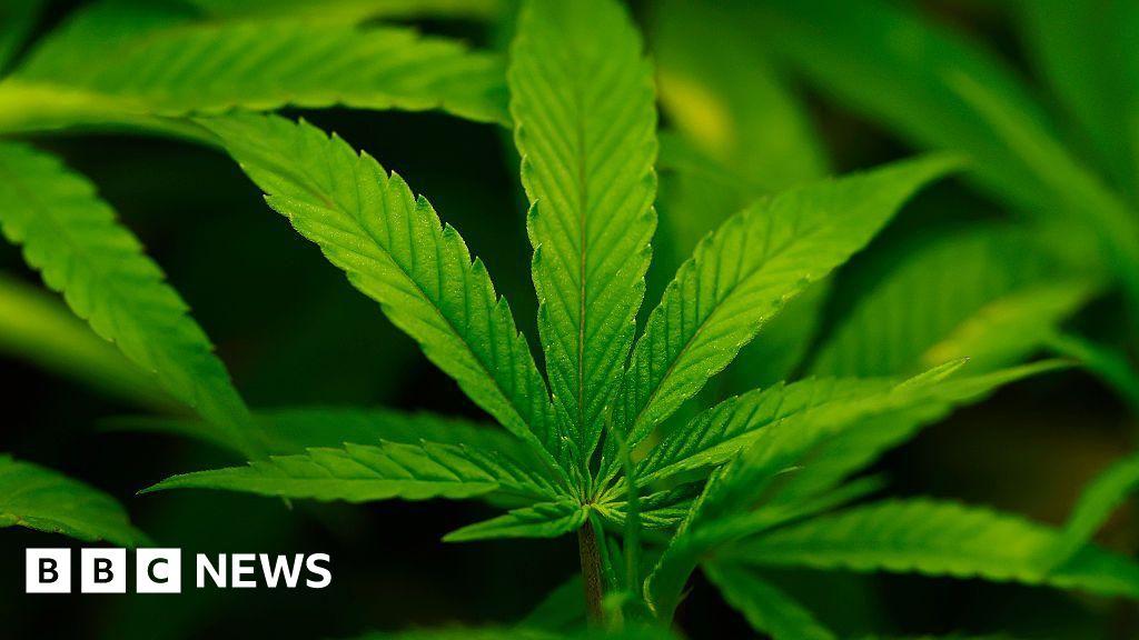 Image from BBC