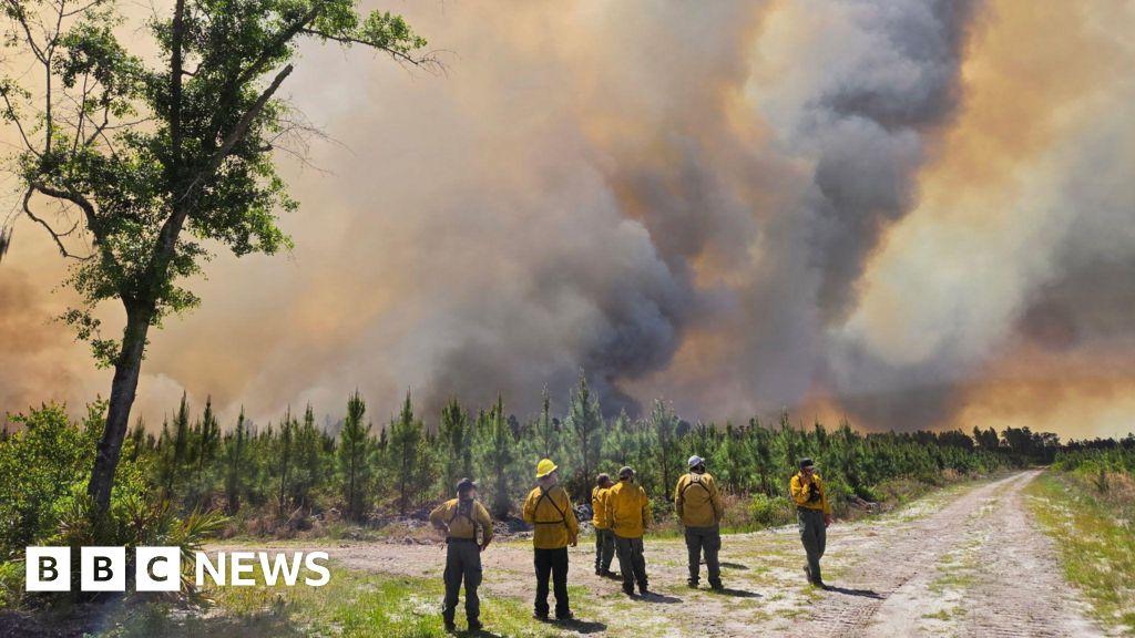 Image from BBC
