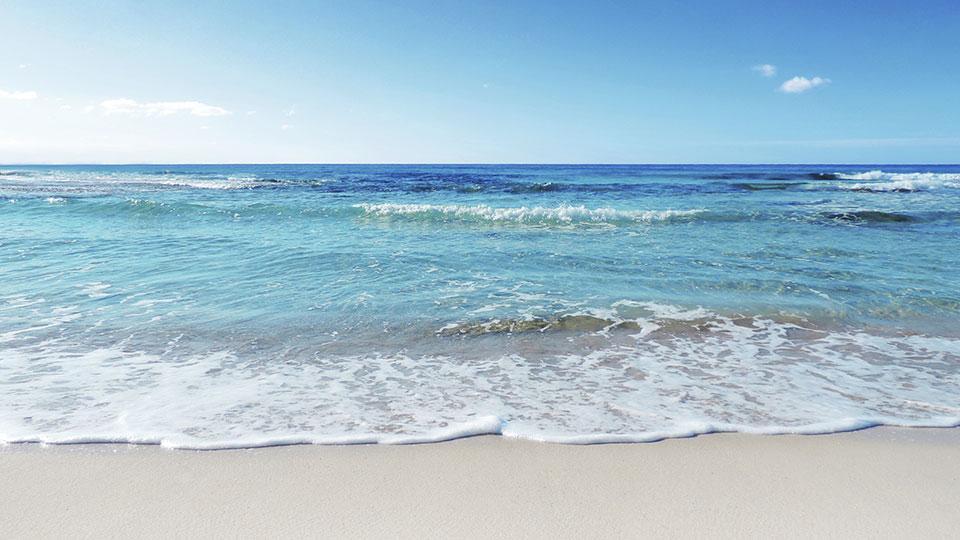 Shark Kills 65-Year-Old Woman Swimming At Orient Beach In South Africa’s Eastern Cape