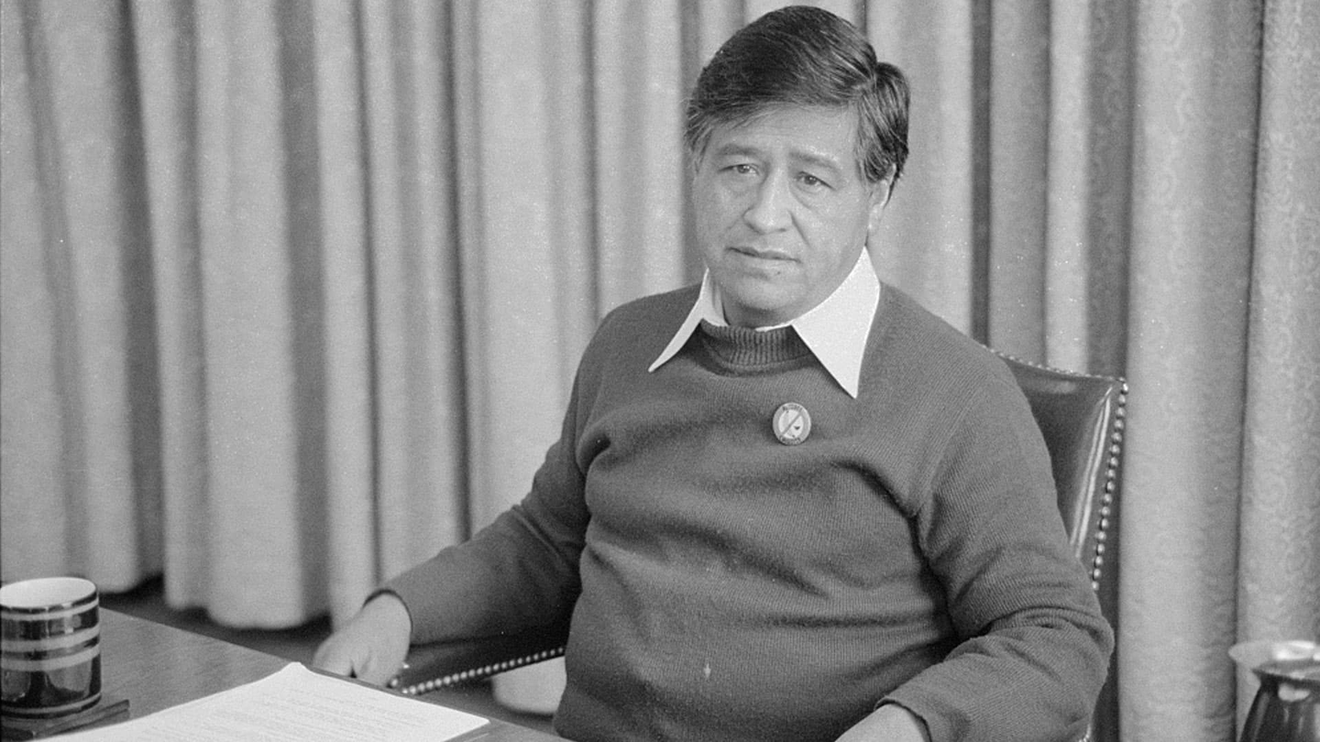 Image from AZPM News