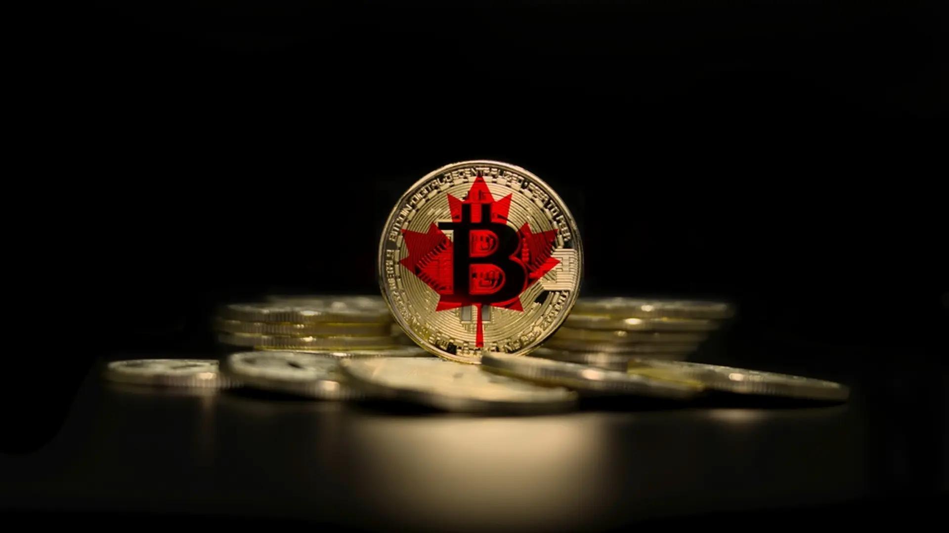 Image from bloomingbit