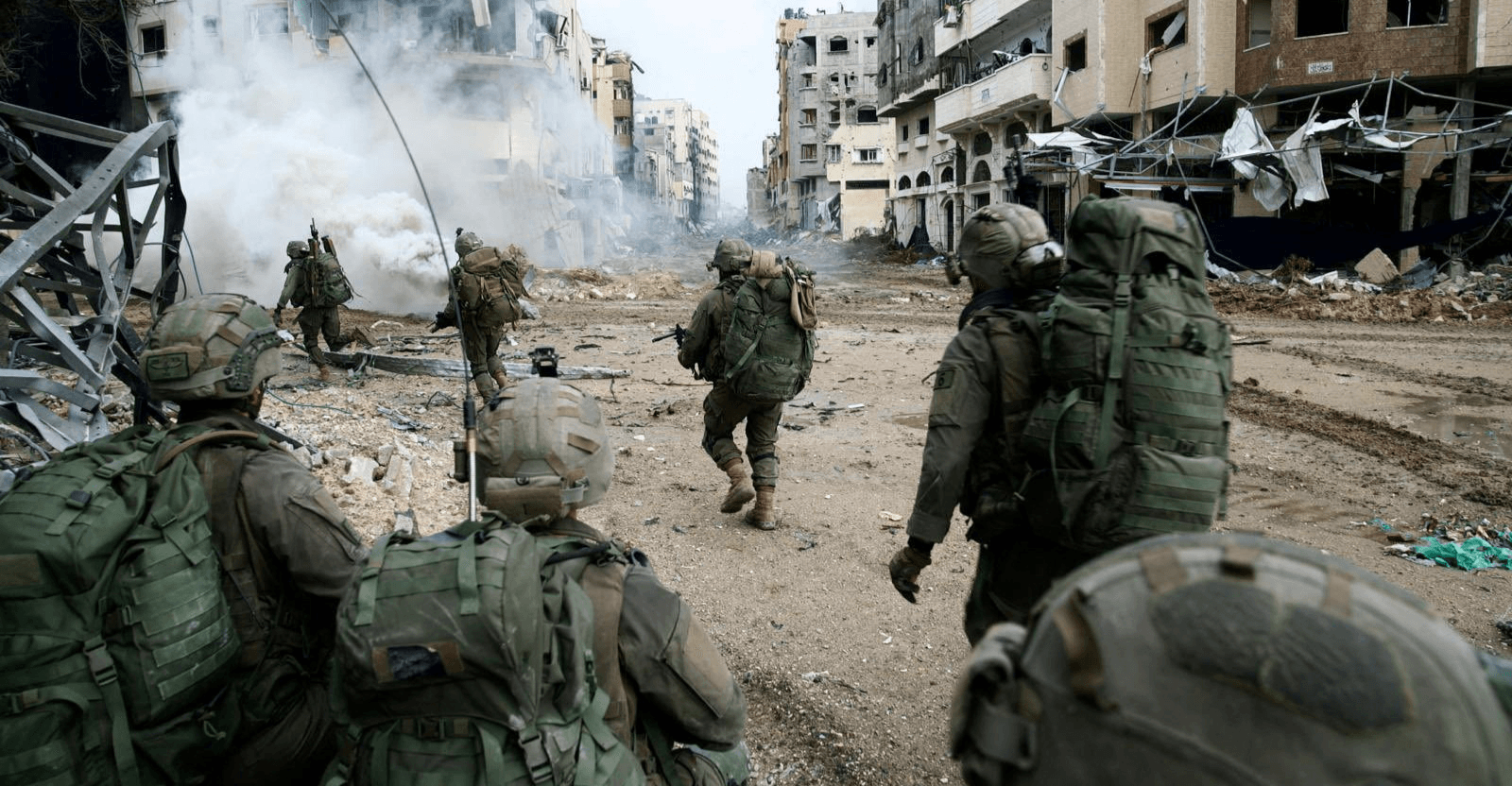 Colonists attack home, uproot trees and steal more than 100 sheep in Minya, east of Bethlehem