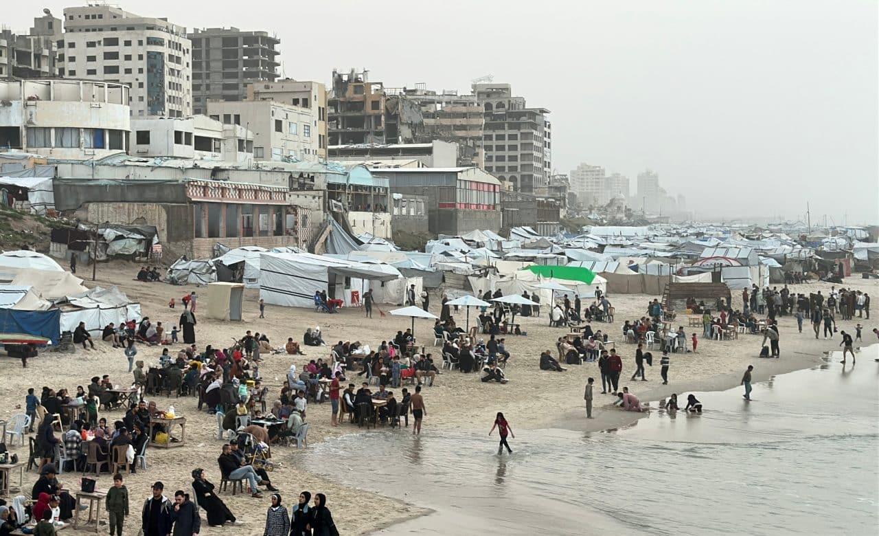 Palestine Letter: First love is for the homeland