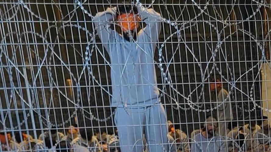 WCLAC Warns Israel’s Custody Rape Cases Are Only 1% of What Happens
