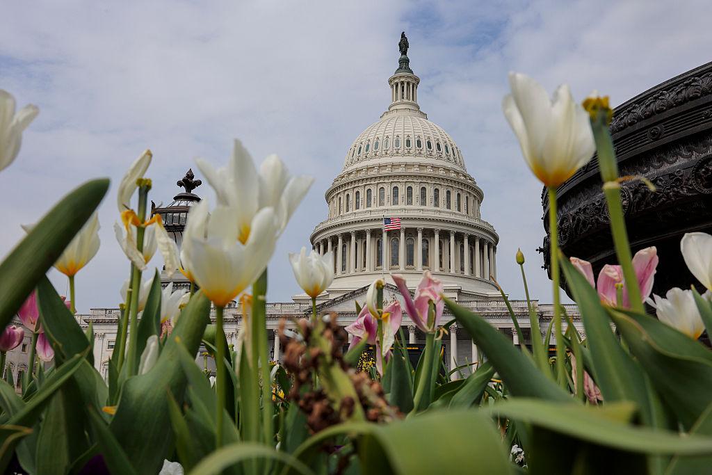 Image from Punchbowl News