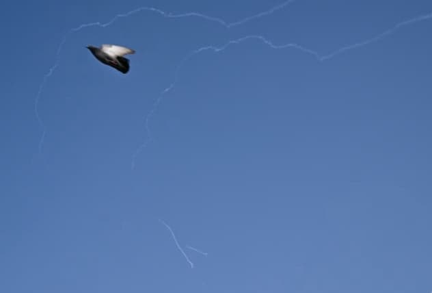 US and Israel Kill Iran's Supreme Leader Ayatollah Ali Khamenei