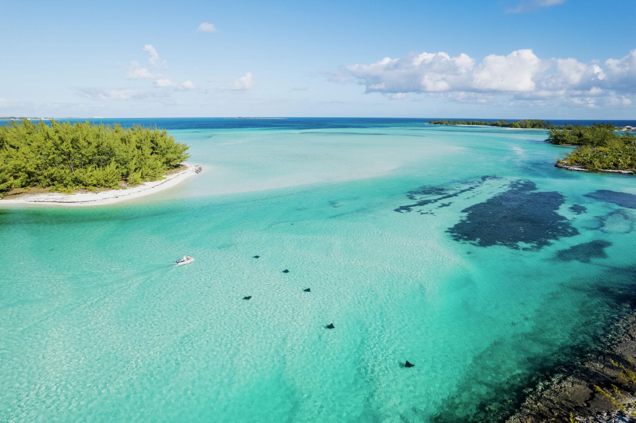 American Woman Lynette Hooker Missing After Falling Overboard in Bahamas