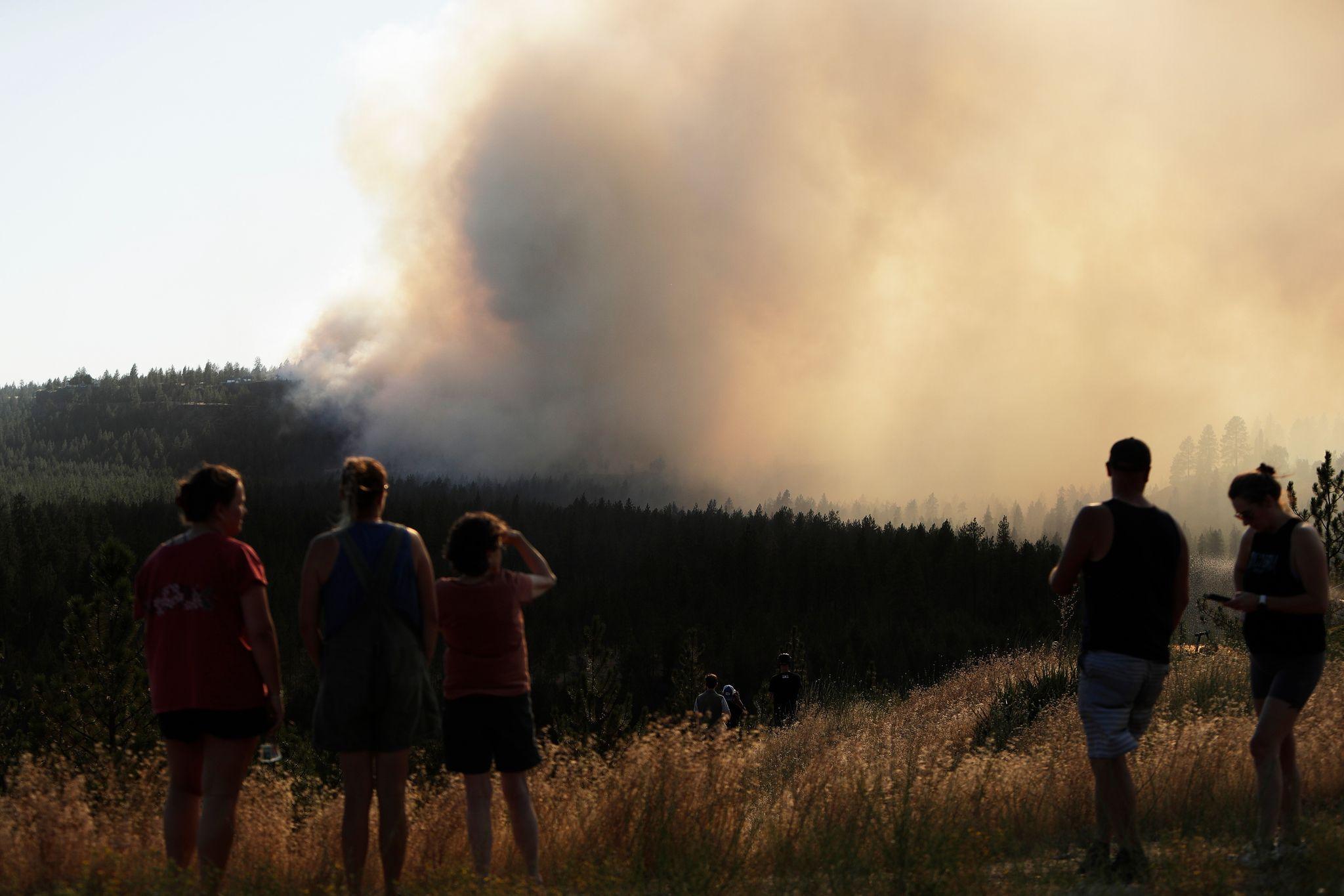 Image from Big Rapids Pioneer