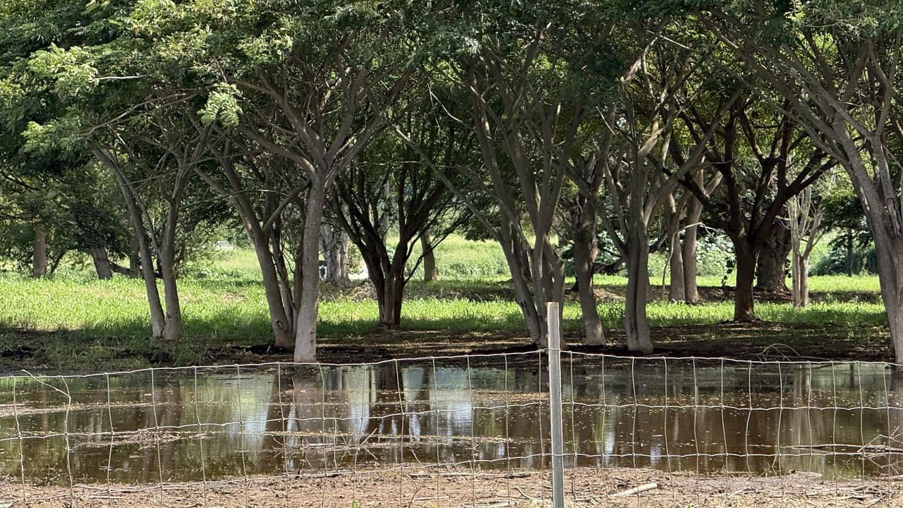 Hawaiian Council Launches Kākoʻo Oʻahu Donation Campaign After Oʻahu Floods