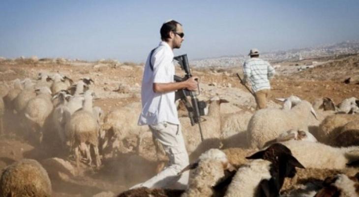 Israeli Forces And Settlers Intensify Attacks Across West Bank, Torch Homes And Farmland