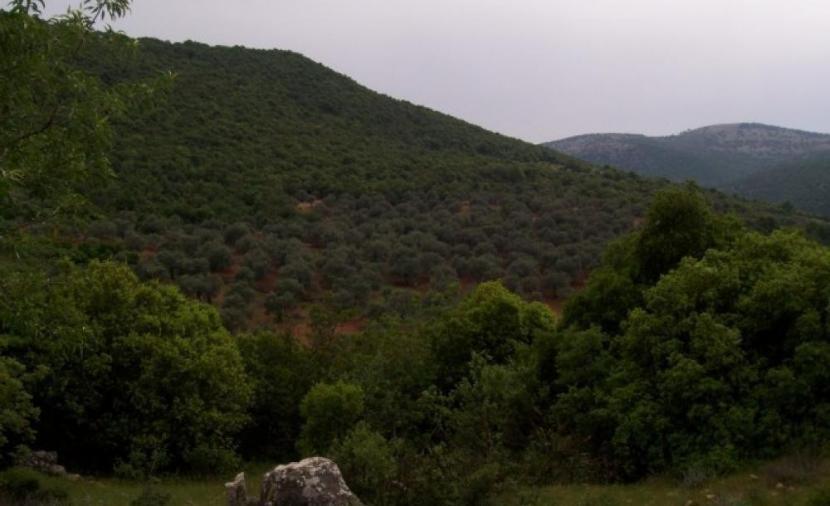 Image from Al-Wakala al-Sahafah al-Filastiniyah