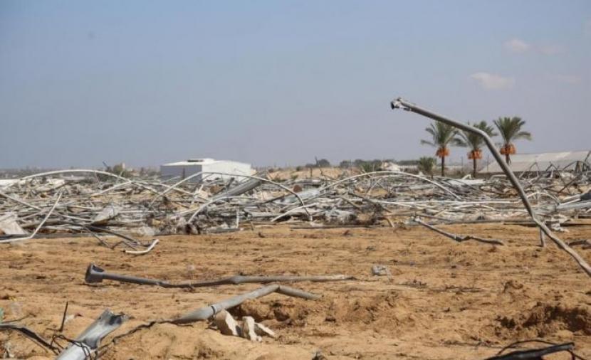 Palestinian farmers return to Gaza as Israel maintains military presence and buffer zones