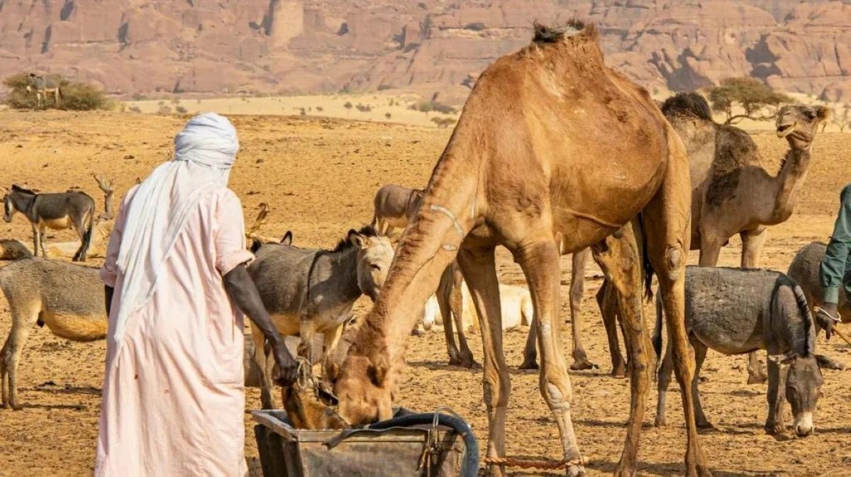 Eastern Chad Fighting Kills 42 After Water Well Dispute Between Rival Families