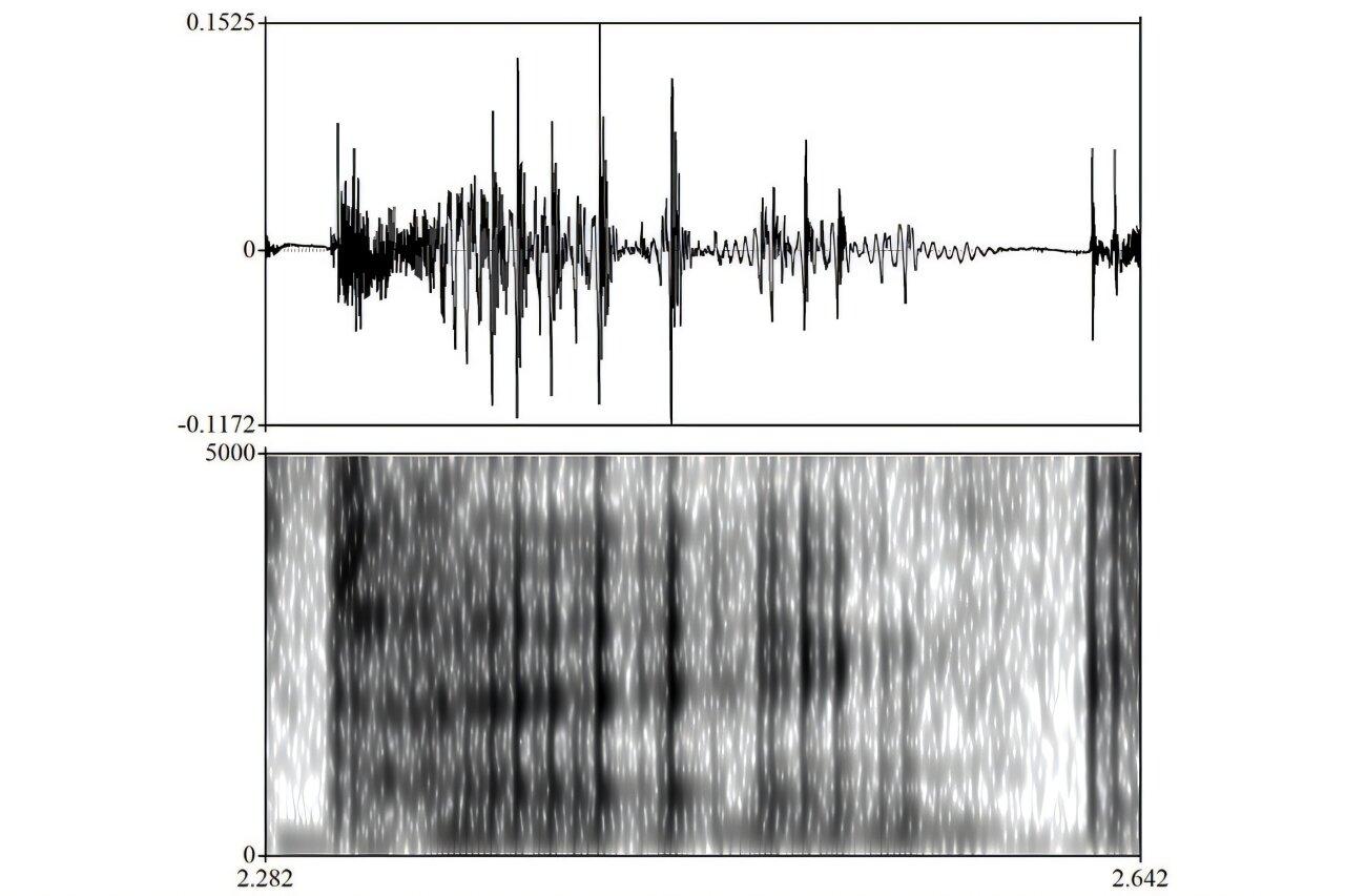 Jeanne Brown Finds Vocal Fry More Prevalent in Men, Creak Increases With Age